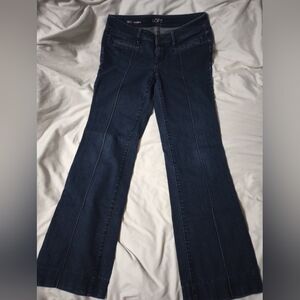 LOFT Women's Blue Jeans